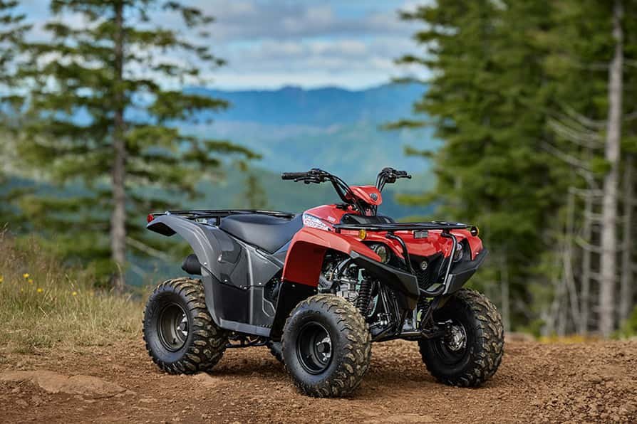 2025 Yamaha Grizzly 110 Yamaha Blue