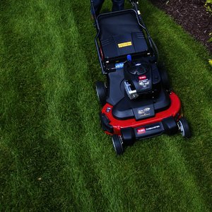 Toro 30 in. (76cm) TimeMaster® w/Personal Pace® Gas Lawn Mower