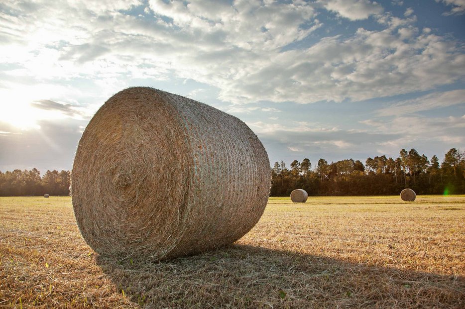 https://assets.cnhindustrial.com/caseih/NAFTA/NAFTAASSETS/Products/Mowers-and-Conditioners/Rotary-Disc-Mower-Conditioners/DC-5%20Series/CIH_1014_AGH_Environmental_Timelapse_Bale_047.jpg