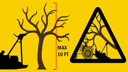 https://baumalight.com/tree-saw/img/features/dph530/Max-10-ft-tree-height.jpg