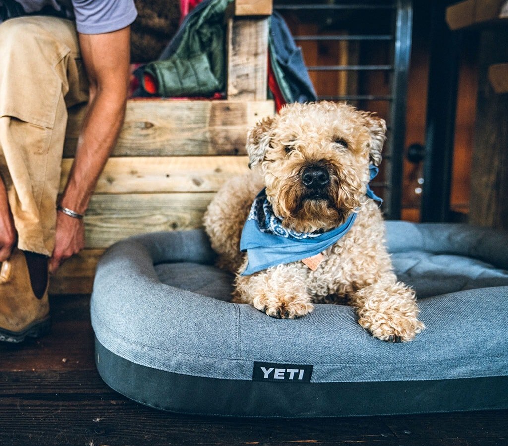 Yeti trailhead clearance dog bed