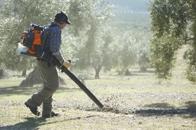 Husqvarna 580BTS