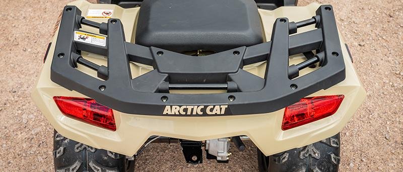 2023 Arctic Cat Alterra 300