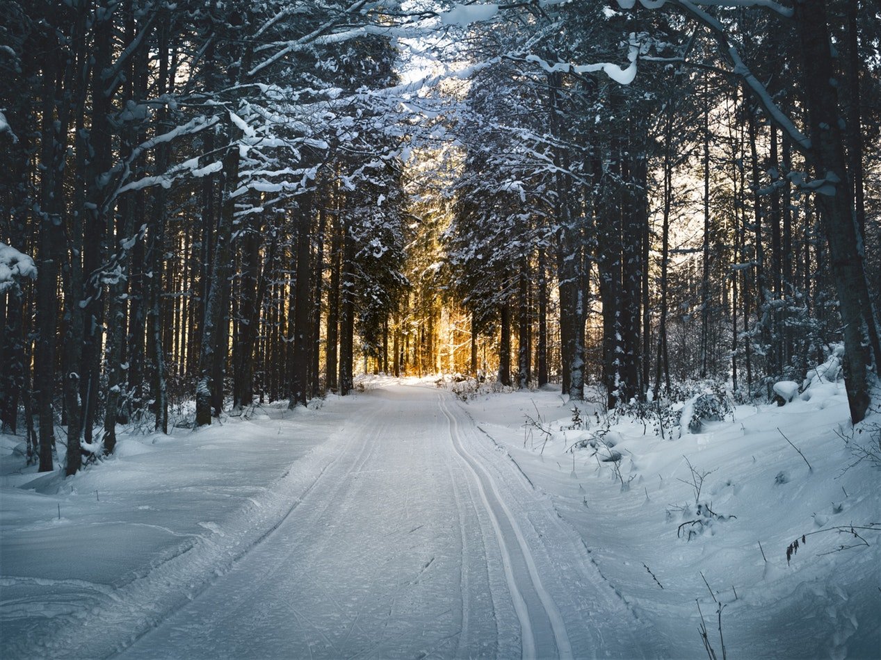 How to Optimize Your UTV For Winter