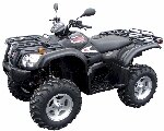 image listing