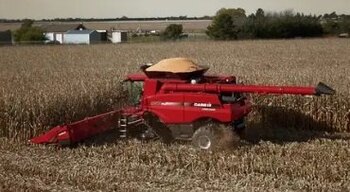 Case IH 4400 Series Corn Heads 4408F