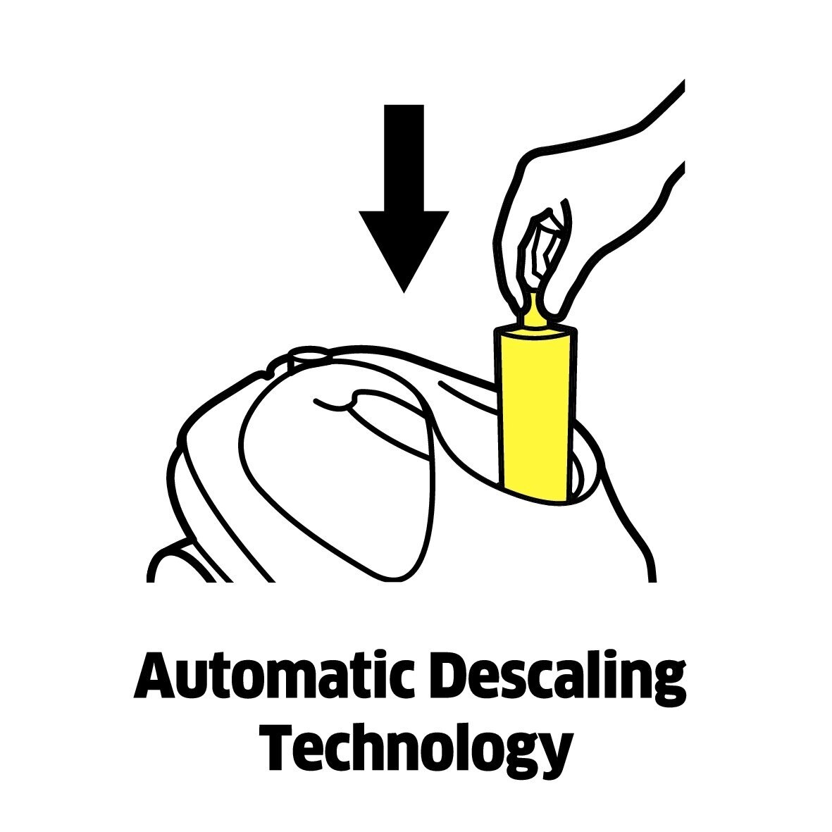 Karcher SC Decalcification Cartridge