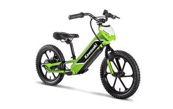 2024 Kawasaki ELEKTRODE