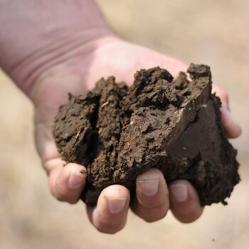 Bio Hume Plant BIo Fertilizer, Seed Treatment, & Soil Remediation Liquid