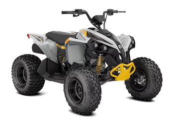 2026 Can Am Renegade 110 EFI