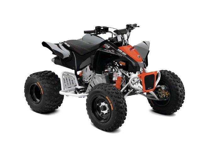 Can-Am DS 90 X