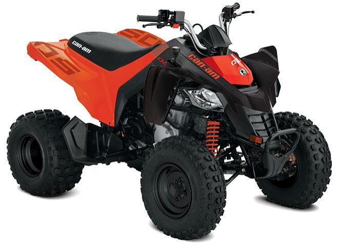 Can-Am DS 250