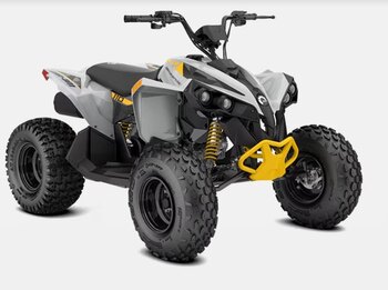 2024 Can Am RENEGADE 110 EFI Catalyst gray Neo yellow