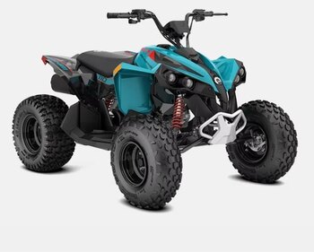 2025 Can Am Renegade 110 EFI iceberg blue black