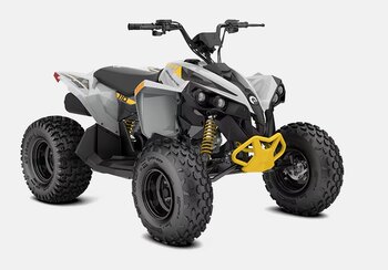 2026 Can Am Renegade 110 2x4