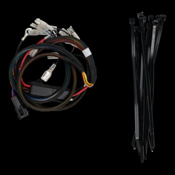 Heated Accessories Wiring Harness