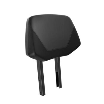 LinQ Passenger Backrest