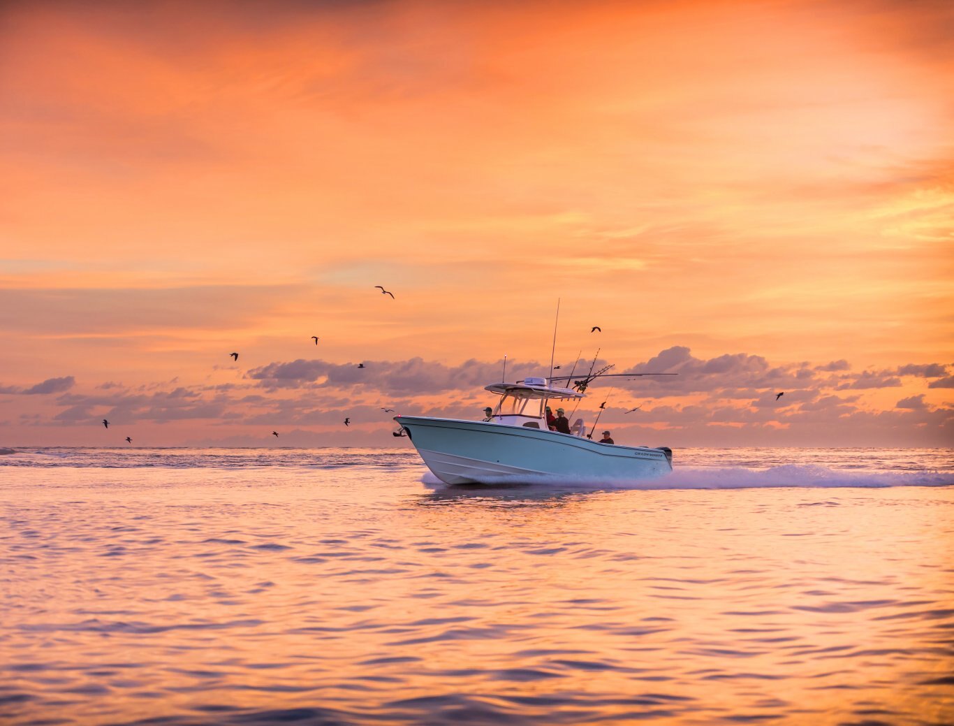 Grady White Canyon 306