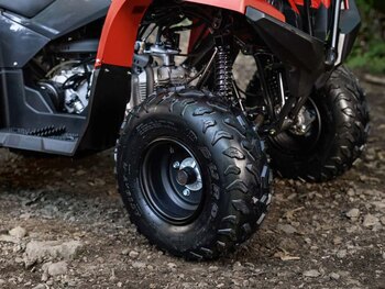 Yamaha Grizzly 110 2025