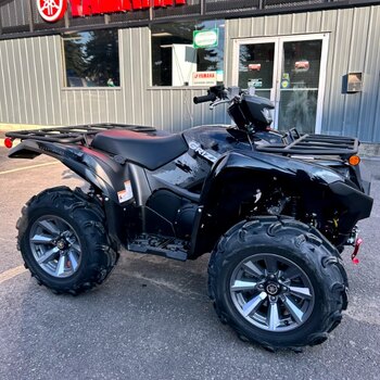 2025 Yamaha Grizzly EPS SE