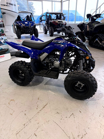 2026 Yamaha Raptor 110 Acid Green