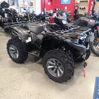 2024 Yamaha GRIZZLY EPS SE Silver Metallic/Black