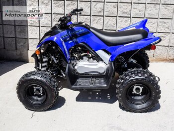 2024 Yamaha Raptor 110