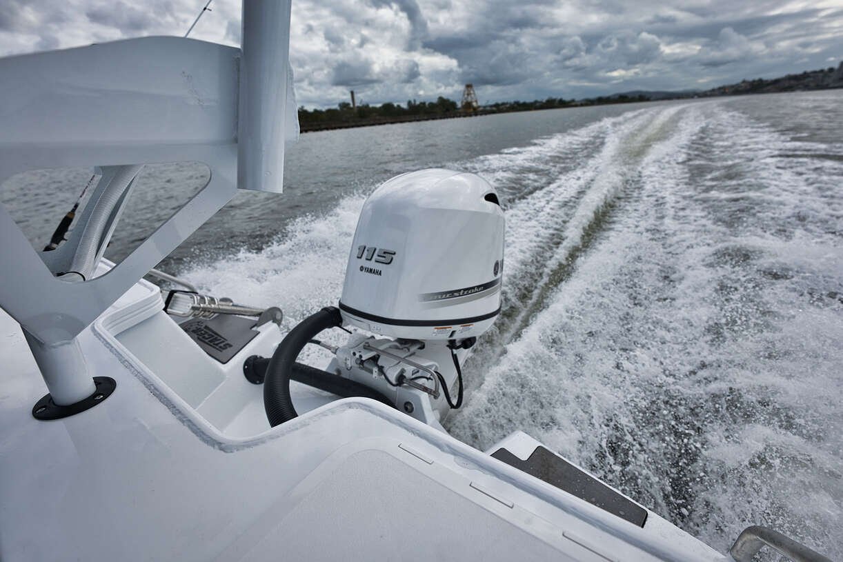 Yamaha F115 gris bleuté métallisé