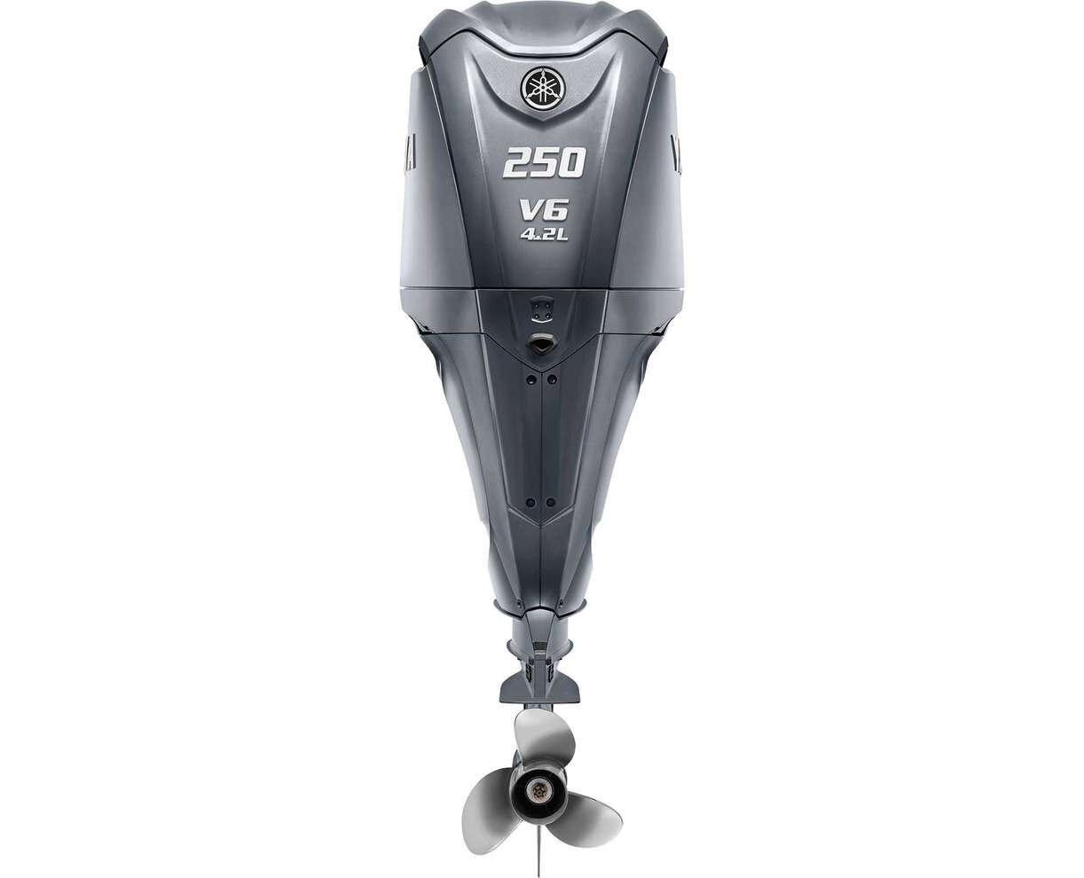 Yamaha F250 Gris 2025