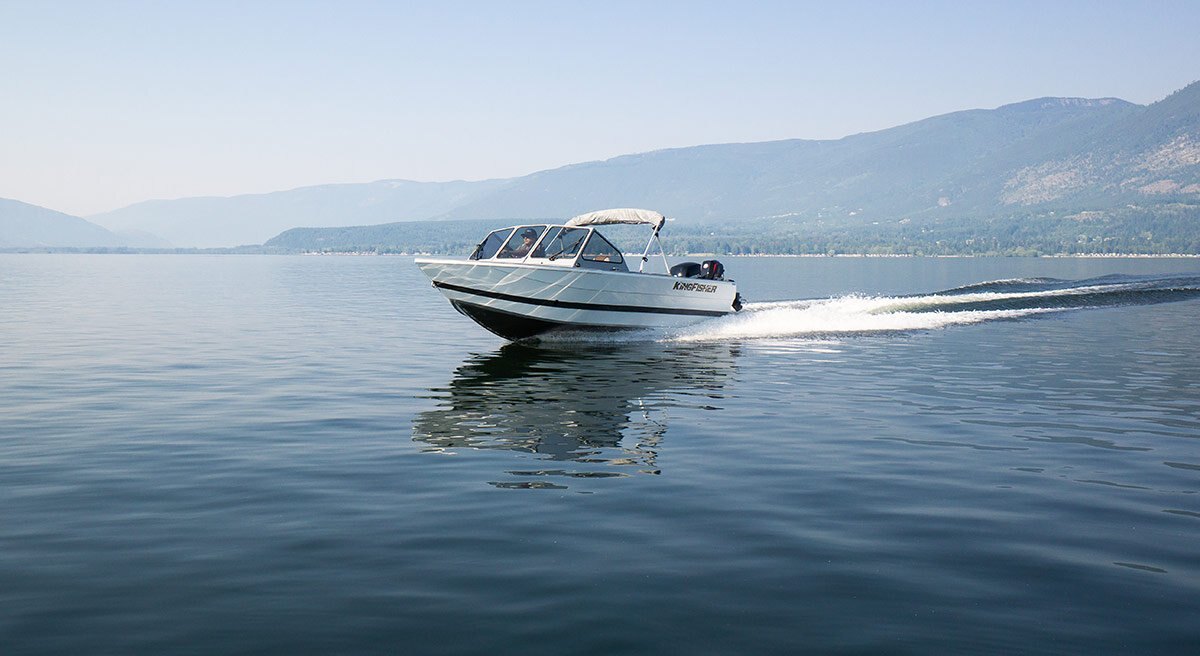 KingFisher 2025 Falcon Sport 2025