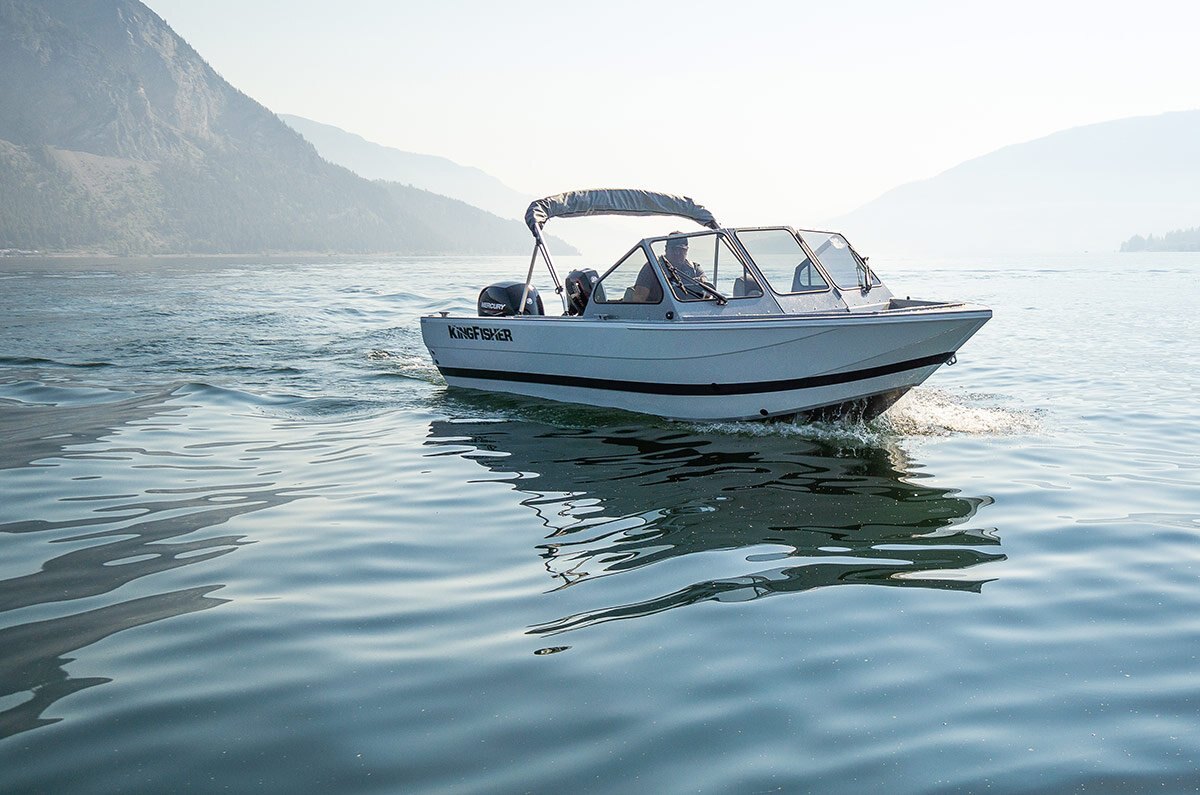 KingFisher 2025 Falcon Sport 2025