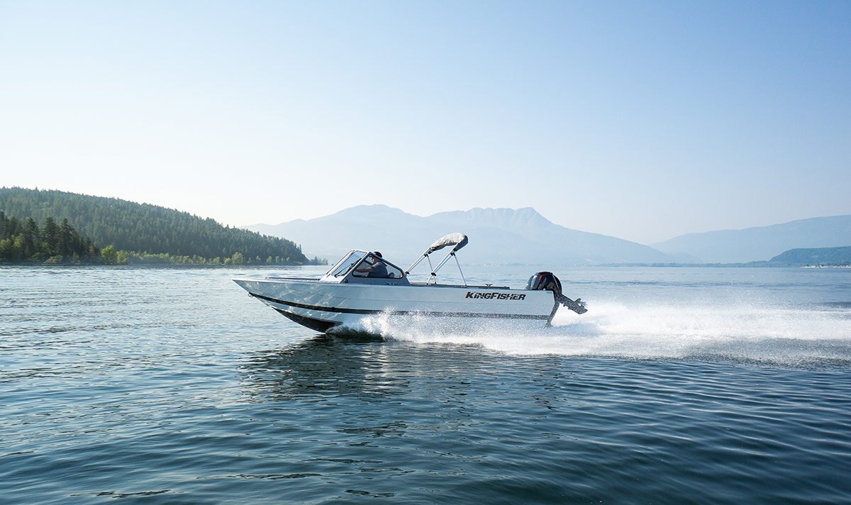 KingFisher 2025 Falcon Sport 2025