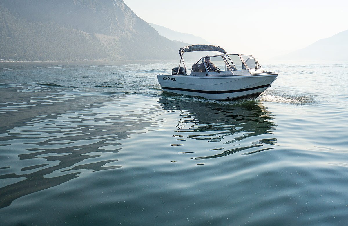 KingFisher 2025 Falcon Sport 2025