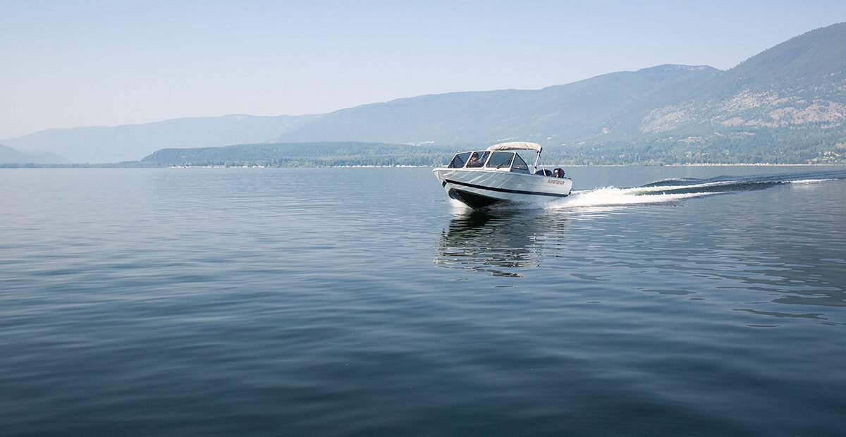 KingFisher 2025 Falcon Sport 2025