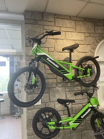 2025 Kawasaki ELEKTRODE 20 Lime Green