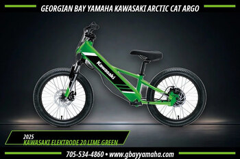 2025 Kawasaki ELEKTRODE 20 Lime Green