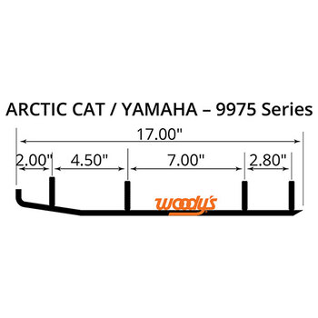 WOODY'S ACE COURSE EN CARBURE (AA8 9975)