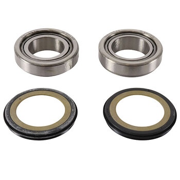 PIVOT WORKS STEERING STEM BEARING KIT (PWSSK H24 000)