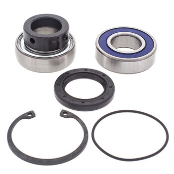 ALL BALLS CHAIN CASE BEARING & SEAL KIT (14 1011)