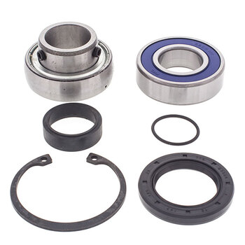 ALL BALLS CHAIN CASE BEARING & SEAL KIT (14 1012)