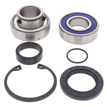 ALL BALLS CHAIN CASE BEARING & SEAL KIT (14 1011)