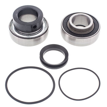 ALL BALLS CHAIN CASE BEARING & SEAL KIT (14 1011)