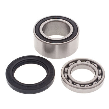 ALL BALLS CHAIN CASE BEARING & SEAL KIT (14 1029)