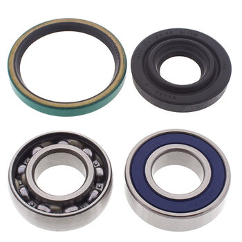 ALL BALLS CHAIN CASE BEARING & SEAL KIT (14 1011)