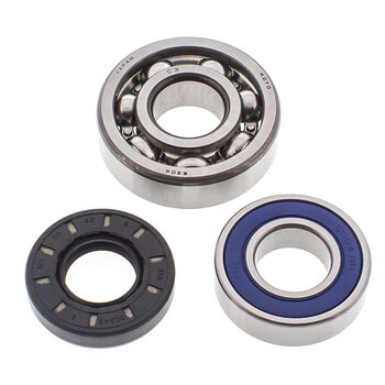 ALL BALLS CHAIN CASE BEARING & SEAL KIT (14 1011)