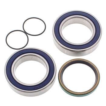 ALL BALLS CHAIN CASE BEARING & SEAL KIT (14 1017)