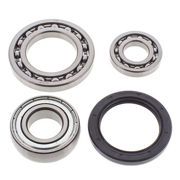 ALL BALLS CHAIN CASE BEARING & SEAL KIT (14 1023)