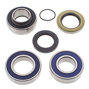 ALL BALLS CHAIN CASE BEARING & SEAL KIT (14 1004)