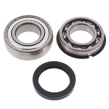 ALL BALLS CHAIN CASE BEARING & SEAL KIT (14 1001)