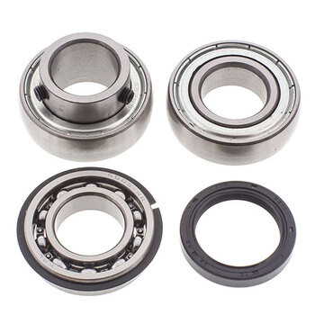 ALL BALLS CHAIN CASE BEARING & SEAL KIT (14 1001)